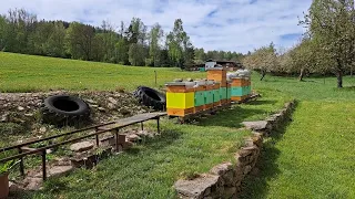 Včely od Raula, nové stanoviště, medníky a povídání