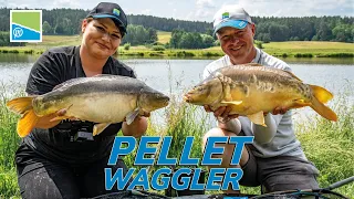 Podstawy PELLET WAGGLER - DUŻE KARPIE na PELLET WAGGLER | Adam Niemiec & Patrycja Pawlikowska