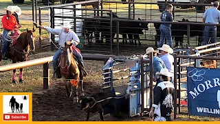 Tie-down Roping - 2023 Wellington Pro Rodeo | Saturday