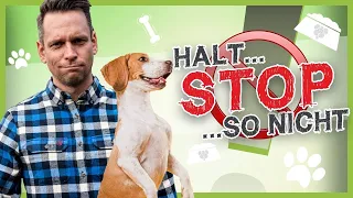 So stoppst du deinen Hund in JEDER Situation [100 % Abbruchsignal]