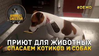 Приют для Животных. Спасаем котиков и Собак - Animal Shelter #Demo (Первый Взгляд)