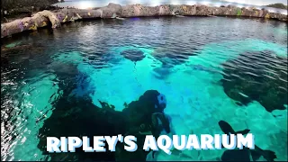 Ripley's Aquarium of Canada | Walking Tour | 4K | Toronto | Canada #canada #toronto #aquarium #4k