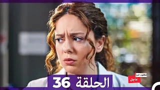 مطلوب حب عاجل الحلقة ال 36