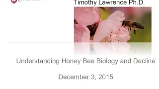 Understanidng Honey Bee Biology and Decline, Tim Lawrence WSU