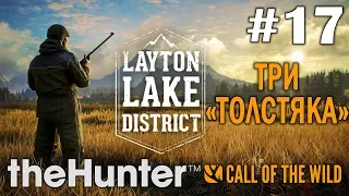 theHunter call of the wild #17 🔫 - Три "толстяка" - Озерный край Лейтон - Прохождение