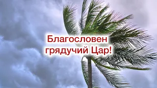 В‘їзд Ісуса в Єрусалим!🌴«Вербна неділя» Християнський вірш про В‘їзд Ісуса в Єрусалим