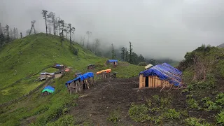 This is Himalayan Life | Rainy Day in Village | Nepal🇳🇵|Ep- 267| Jiree Village |VillageLifeNepal