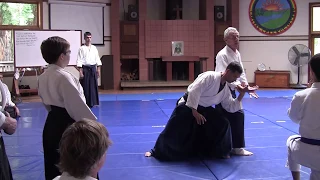 Aikido Shihan Nadeau  OSR 2018  The Harmony of Two Forces