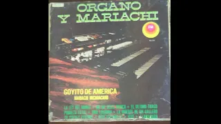 ORGANO CON MARIACHI MICHOACANOLP 14