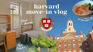 Harvard move-in vlog | sophomore year 하버드 기숙사 입사 브이로그
