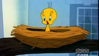 I Tawt I Taw a Puddy Tat (Tweety Compilation)