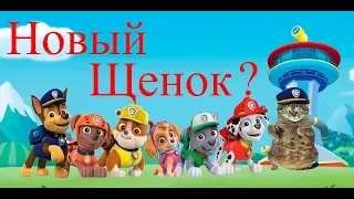 Щенячий патруль - PawPatrol Mission Paw! Улыбчивый кот 0+