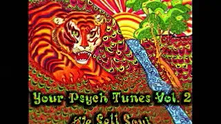 Various - Your Psych Tunes Vol 2 We Sell Soul : Neo Psychedelic Garage Stoner Prog Rock Music Bands