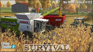 Survival in No Man's Land Ep.223🔹Harvesting Corn. Subsoiling. Weeds Control🔹Farming Simulator 22