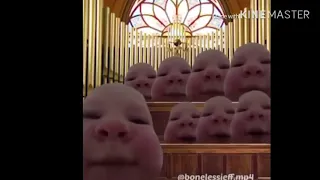 The coconut song sang by a choir of babies