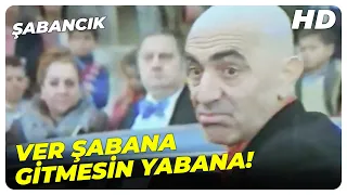 Şabancık - Kızı Şaban Aldı, Feyzo'ya Nah Kaldı! | Aydemir Akbaş Eski Türk Filmi