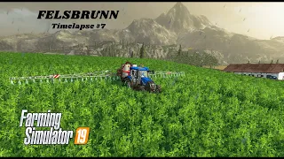 Mowing, raking, baling & selling silage bales | Felsbrunn | FS19 Multiplayer | Timelapse #7