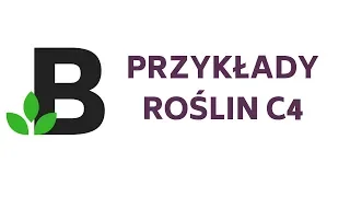 rośliny C3 i C4 przykłąady maturalne :) krótko i na temat :) - KOREPETYCJE z BIOLOGII - 117