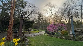 Spring Garden in Mid April (4/13-21/2024)