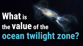 Value Beyond View: The Ocean Twilight Zone