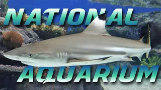 National Aquarium | BALTIMORE, MD