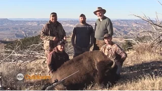 Henry Mountain Bison Hunt