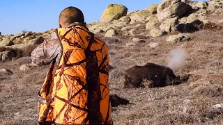 EPIC WILD BOAR HUNTING ADVENTURE - PERFECT WILD BOAR SHOTS