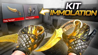 ISSO VAI DAR BAN, JOGUEI MUITO COM A LUVA "IMMOLATION" - STANDOFF 2