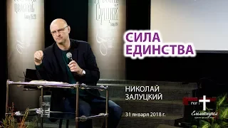 Сила единства  - Николай Залуцкий