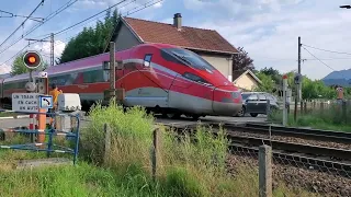 Quelques trains filmé au passage niveau numéro 24 de Chambéry FRET TER,TGV