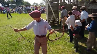 pIALADAS DE POTROS