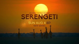 Serengeti | Official Trailer - Narrated by Lupita Nyong'o