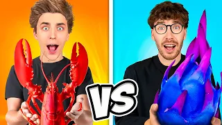 RED vs BLUE FOOD Challenge !