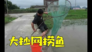 一夜暴雨导致水位上涨，阿琪扛着大抄网去捞鱼，收获太棒了Homemade scooping net to catch fish【农村阿琪】