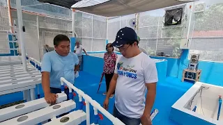 Another OFW from US of A build Hydroponics Greenhouse in Calasiao Pangasinan