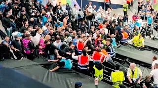 Marseille fans try to fight stewards during Tottenham match, riot police gets involved