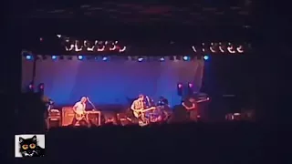 Big Country "In A Big Country" live