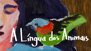 Marisa Monte | A Língua dos Animais (lyric vídeo com cifra)