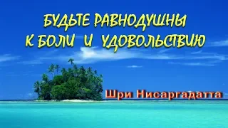 Будьте равнодушными к боли и удовольствиям [Шри Нисаргадатта, озв. Никошо]