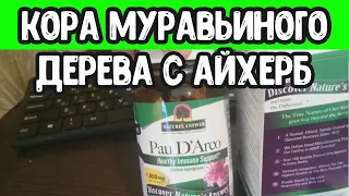 Моя любимая кора муравьиного дерева