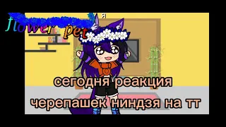 👌✨реакция черепашек ниндзя на тт (гача клуб)✨🧸