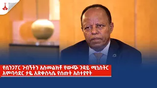 የሲንጋፖር ጉብኝትን አስመልክቶ የውጭ ጉዳይ ሚኒስትር አምባሳደር ታዬ አጽቀስላሴ የሰጡት አስተያየት Etv | Ethiopia | News zena