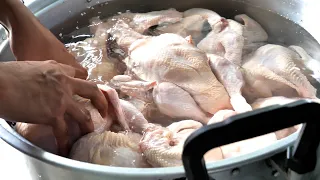 Famous Hainanese chicken rice making - Thai Street Food