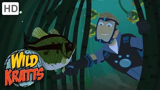 01x11 Братья Кратт - Вид Окуней / Wild Kratts - Bass Class