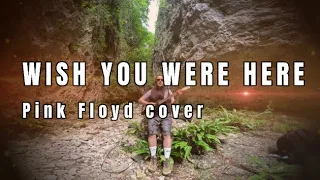 Wish you were here - Pink Floyd cover