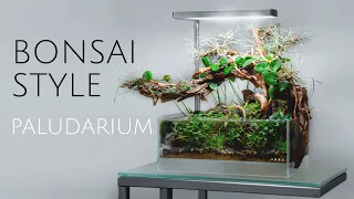 Bonsai Style Paludarium - Tutorial