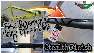 How To Repaint MTB Steel Frame Using Spray Cans In Black Matte And Gloss Combination