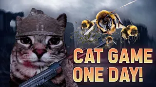 I Made Cat Game In One Day!