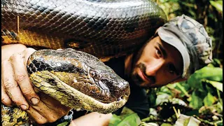 Man Offers Himself to be Eaten Alive by an Anaconda - A Jaw-Dropping Experiment