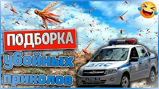 Я ржал до слез 😂 30 Минут смеха 2024 Смешные видео Лучшие ПРИКОЛЫ Подборка приколов Лучший юмор #27